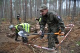 Archeologiczna sensacja w powiecie gorzowskim. Odkryto cmentarzysko wojowników sprzed 2 tys. lat. Może zajmować powierzchnię kilku hektarów