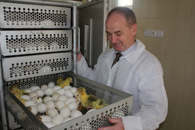 Andrzej Klonecki poprzez  fundację promuje ekologiczny chów gęsi, a także w swoim gospodarstwie prowadzi wylęgarnię. W br. do małych gospodarstw dostarczono  20 tys. piskląt gęsi