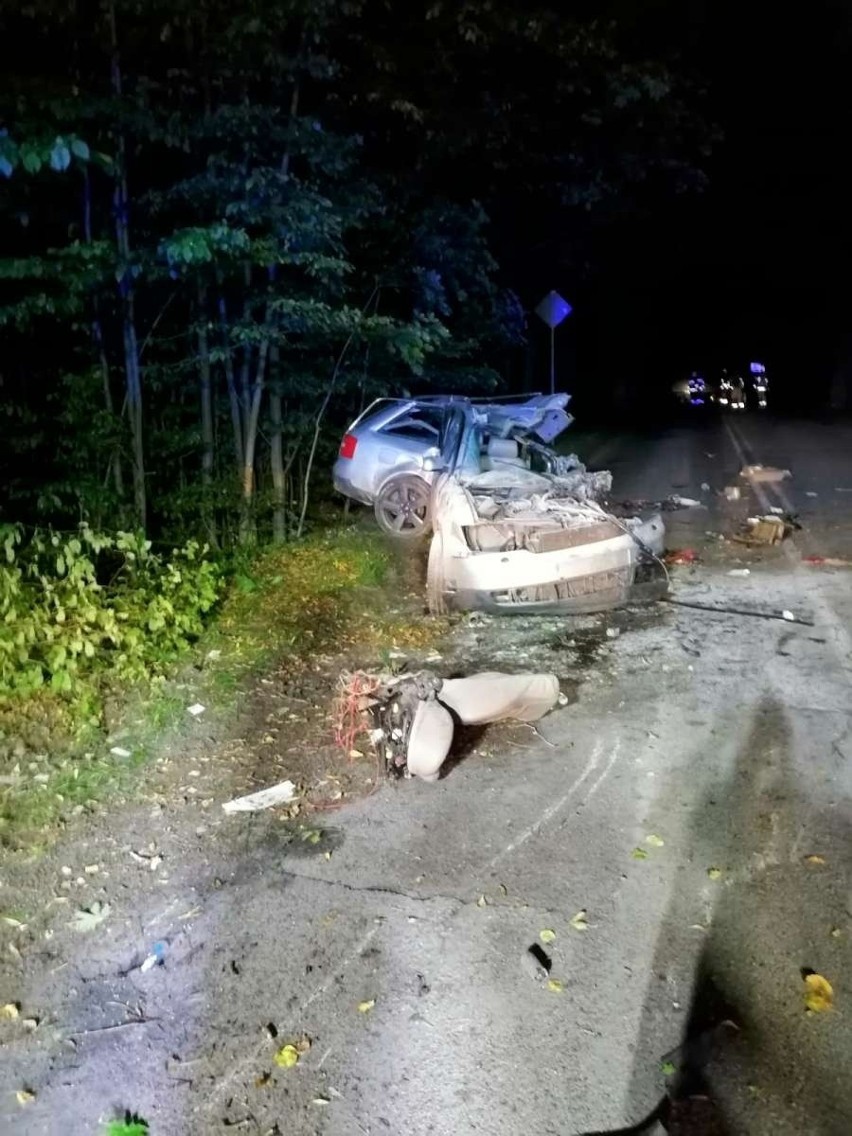 Śmiertelny wypadek na drodze wojewódzkiej nr 224