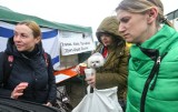 Ilu uchodźców z Ukrainy chce zostać w Polsce? Zobacz raport