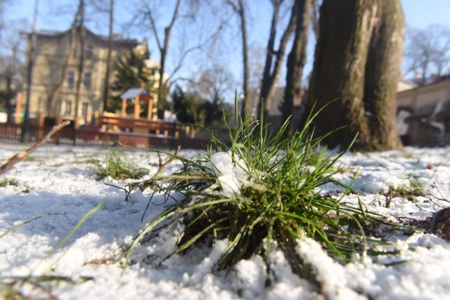 Pierwszy atak zimy już w październiku?Nie jest wykluczone, że pierwszych przymrozków możemy się spodziewać pod koniec października.