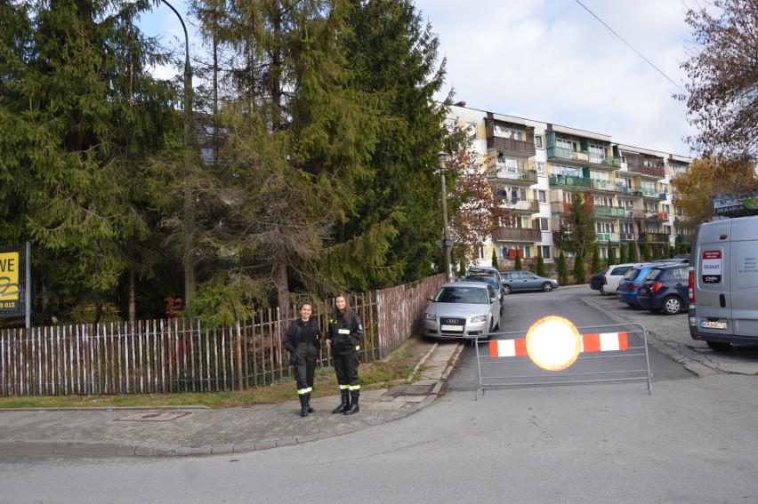 Skawina. Mogilany. Ponad 400 osób wzięło udział w VI Górskim Biegu Niepodległości Skawina–Mogilany. Biegli z kijkami i psiakami.