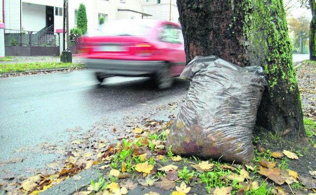 Przedsiębiorstwo Gospodarki Komunalnej zgodnie z harmonogramem będzie odbierało odpady zielone do końca listopada. Ale i w grudniu po nie przyjedzie