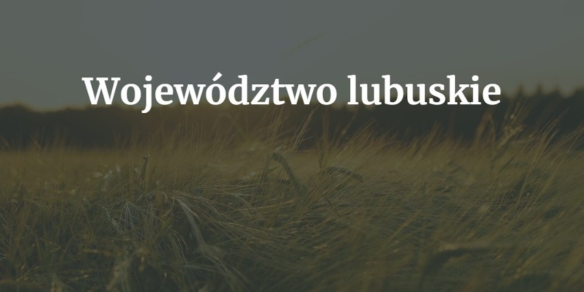 Najpopularniejsze nazwy wsi w województwie (wraz z ilością...