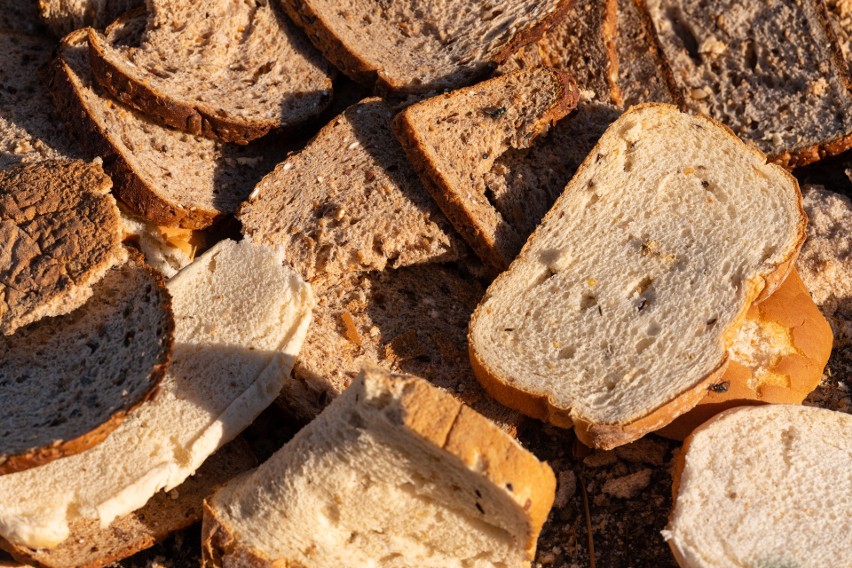 Z czerstwego chleba można zrobić grzanki lub tosty. Można go...
