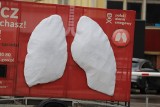 Gigantyczne sztuczne płuca stanęły w Gorzowie. Pokażą, czym oddychamy