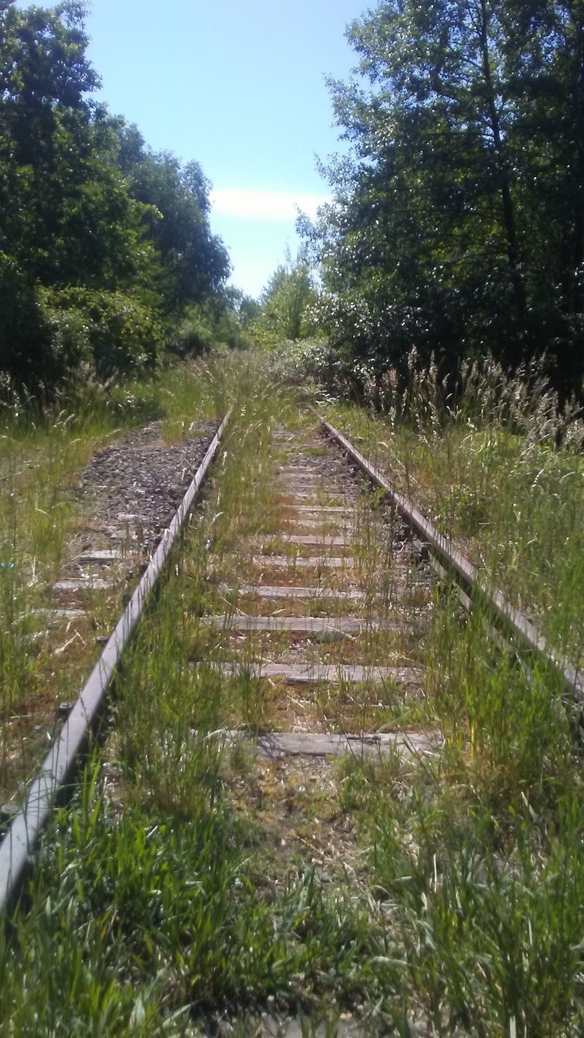 Dawna trasa kolejowa, przebiegająca w okolicach Gubina jest...