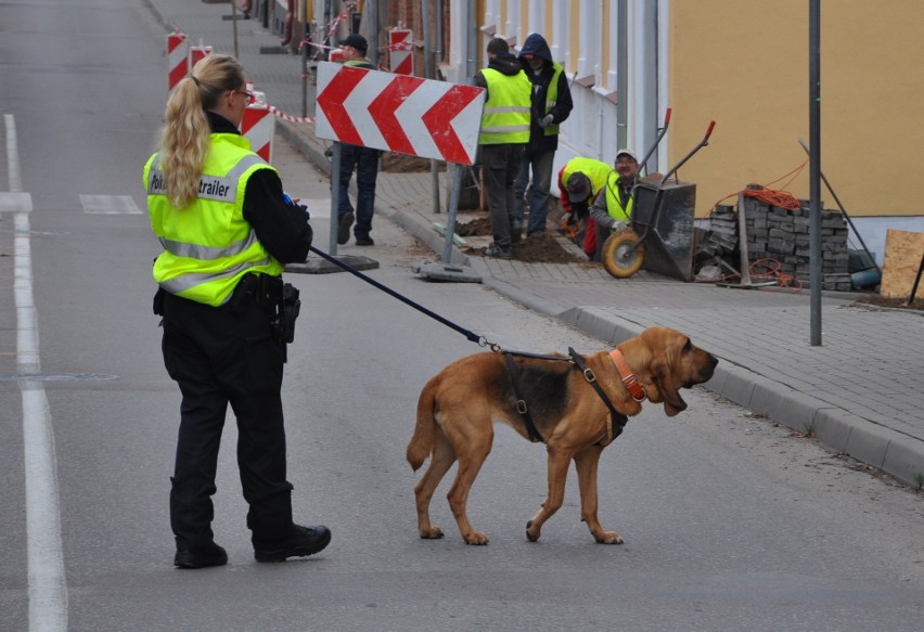 Olecko. Niemieckie psy mają pomóc w rozwikłaniu zagadki zabójstwa 69-latki [ZDJĘCIA]