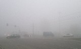 Uwaga kierowcy! Gęsta mgła i Rokicińska bez świateł! 