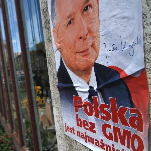 Ktoś porozlepiał w mieście plakaty kandydatów na prezydenta ze zmienionymi na proekologiczne hasłami.