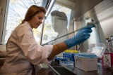 Biobank UMB. Zobacz, jak wyglądają wielkie zamrażarki do zbierania próbek i laboratorium Uniwersytetu Medycznego