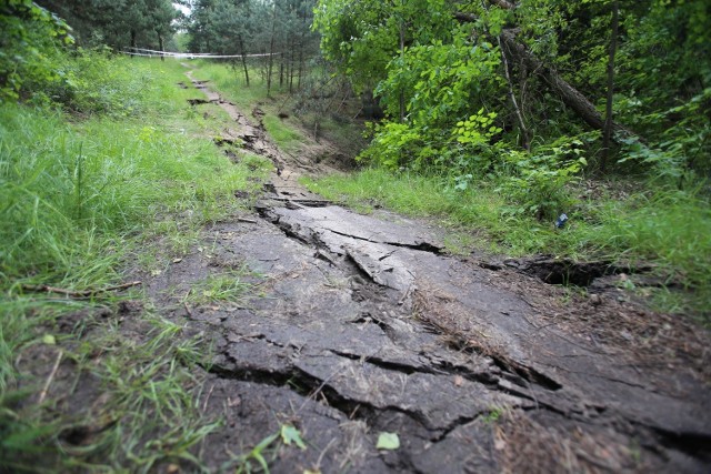 W Sosnowcu zapadła się ziemia. Zapadlisko powstało w okolicy stacji Sosnowiec Maczki