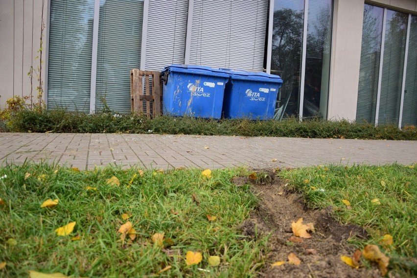 Miejsce kolizji zostało tymczasowo zabezpieczone