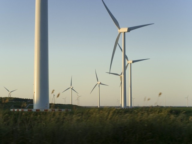 Biznesmeni od dwóch lat prowadzą rozmowy z gminą na temat budowy fermy wiatrowej. (fot. sxc)