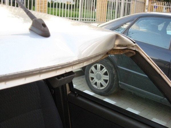 Tragedia była tuż, tuż. Tego łosia trzeba uśpić. Zwierzę zaatakowało samochód w centrum Białegostoku! (zdjęcia)