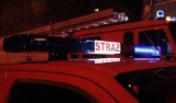 Trzydziestu strażaków gasiło pożar altany w miejscowości Wysoka w gminie Leśnica 