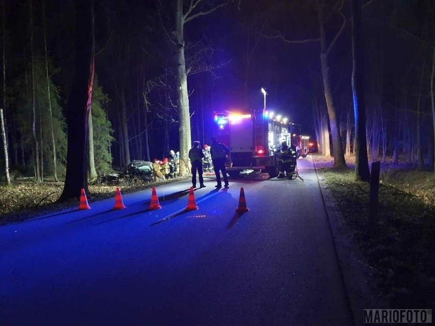 Wypadek w Murowie. Samochód osobowy na drzewie, nie żyje kierowca 