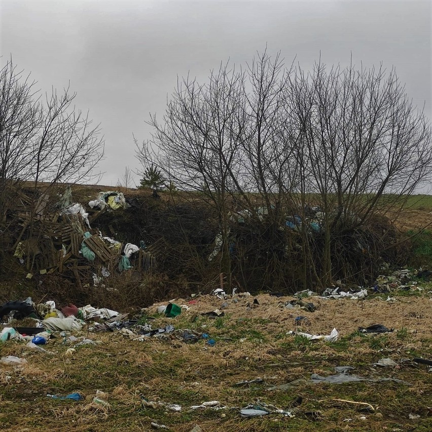 Monitoring ma pomóc w ustaleniu osoby, która nielegalnie wyrzucała śmieci w gminie Grabowo