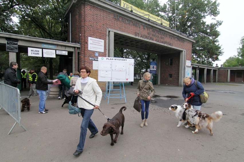 Wrocław: Na Stadionie Olimpijskim trwa wystawa psów rasowych [ZDJĘCIA]