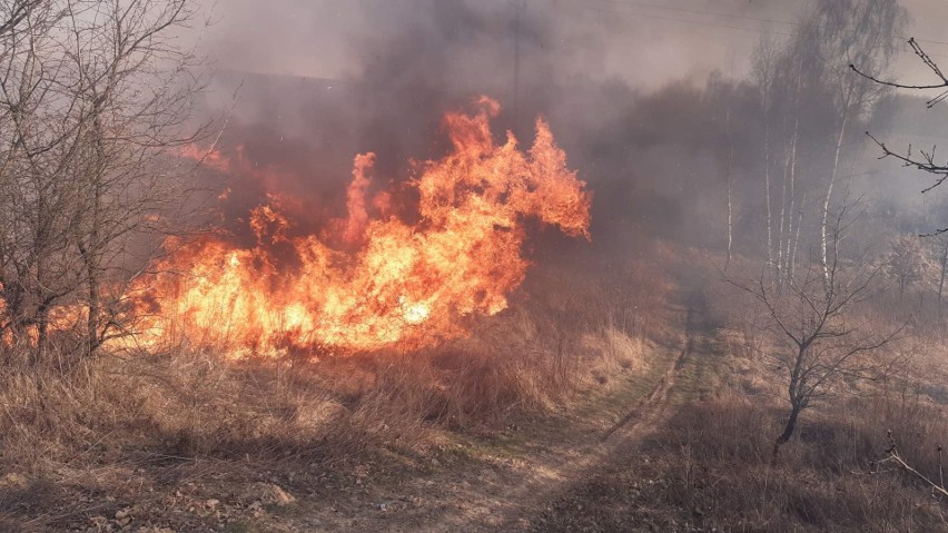 Tej wiosny trawy i nieużytki w powiecie wielickim płonęły...