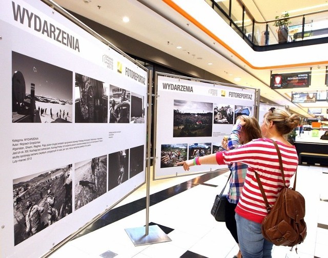 W Galerii Kaskada można oglądać najlepsze zdjęcia tegorocznego konkursu Grand Press Photo.