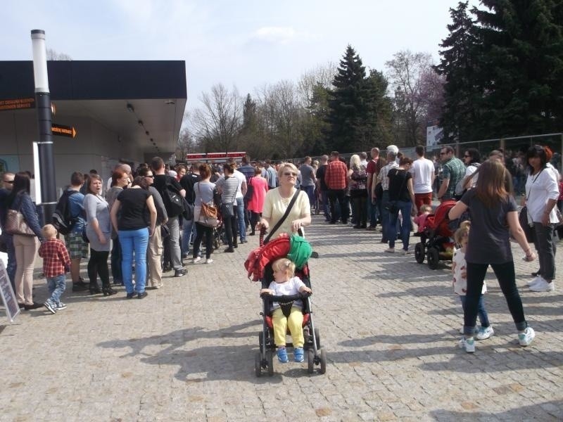 Tłumy w zoo Wrocław - w weekend 11-12.04.2015 r. zoo...