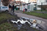 Kurierzy regularnie niszczą trawniki na wrocławskim Ołbinie. Jeden z nich został przyłapany na gorącym uczynku [FILM]