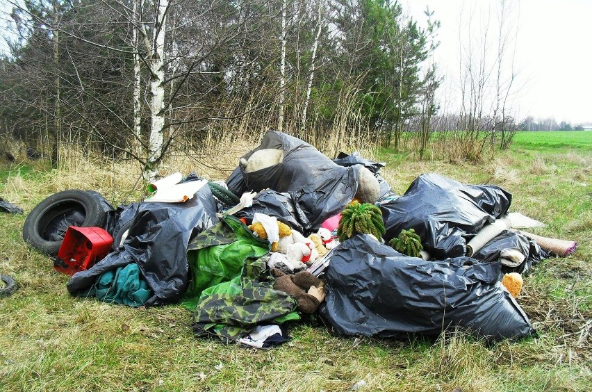 Dzikie wysypisko przy Zagrodowej. Strażnicy znaleźli w workach... dokumenty z adresem [ZDJĘCIA]