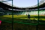 Firma Selectivv zostanie sponsorem tytularnym Stadionu Wrocław?