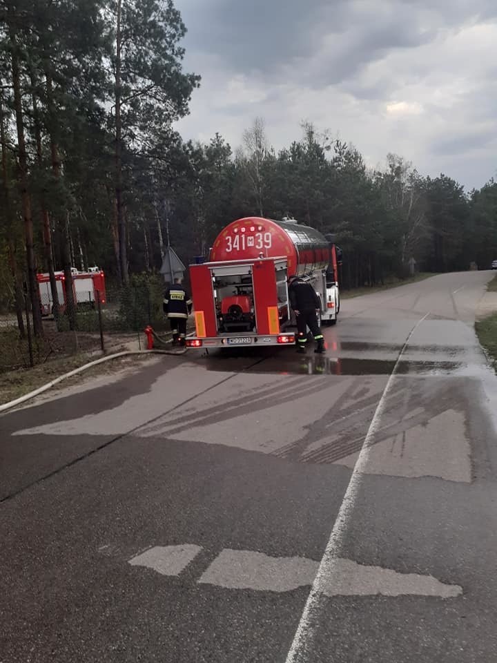 Nakły. Pożar lasu. Spłonęły ponad dwa hektary. Pożar wybuchł 28.04.2020. Zdjęcia