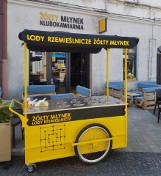  Żółty Młynek w Rybniku na sprzedaż. Bywali tam znani podróżnicy, którzy przy kawie opowiadali o dalekich wyprawach 
