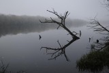 „Edukacja dla klimatu”. Wyjątkowa konferencja w Poznaniu