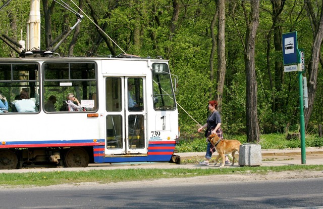 To w tramwaju tej linii dwóch pijanych mężczyzn zastraszyło pasażerów i poturbowało jednego z nich. Motornicza "jedynki&#8221;, mimo łączności z dyspozytorem, ani myślała wezwać policję.