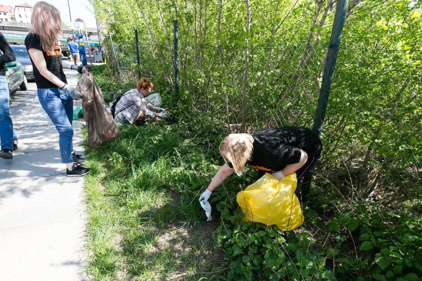 Szczecinianie posprzątali Podzamcze. Mają dość śmieci i szczurów [WIDEO, ZDJĘCIA]