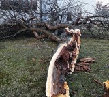 Gorlickie: Niemal setka strażaków walczyła ze skutkami silnego wiatru