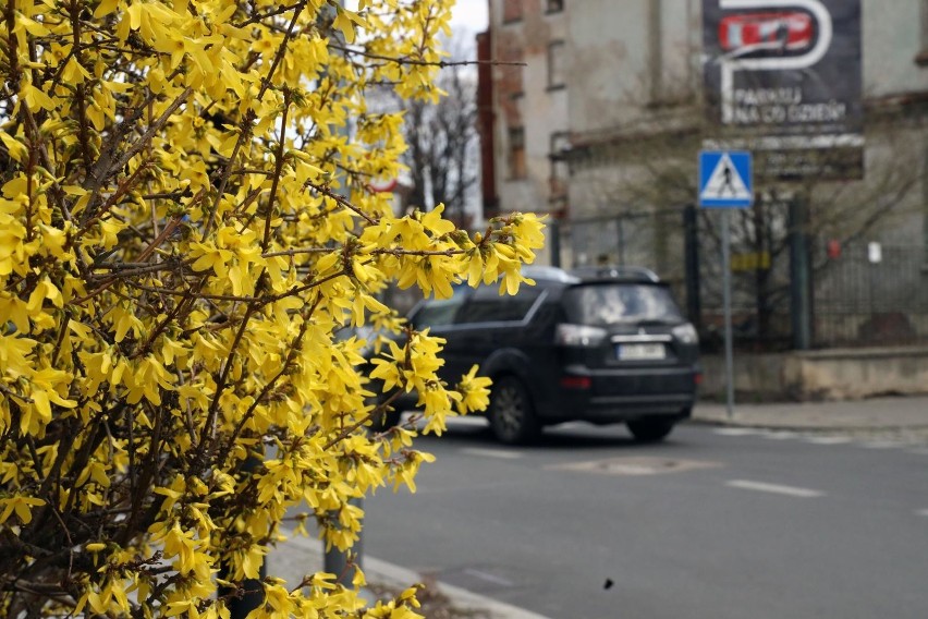 W niedzielę powinno przestać podać. Znów pojawi się więcej...