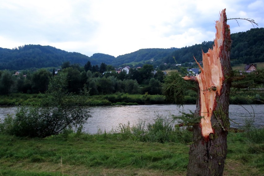 Piwniczna. 40 sekund horroru. Dobę po katakliźmie zniszczony las przeraża [ZDJĘCIA]