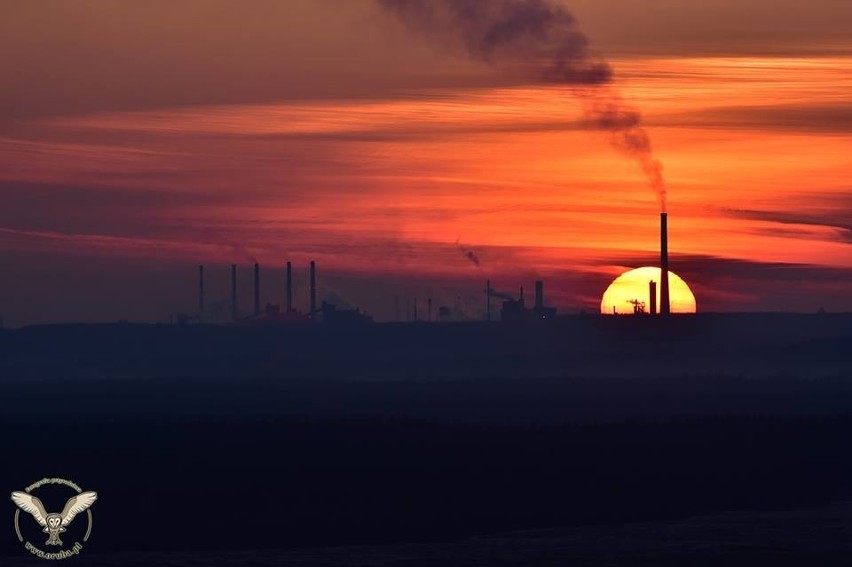 Wygląda jak Bliski Wschód, ale to zdjęcia z Polski. Zjawiskowa Pustynia Błędowska