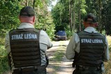Strażnicy Leśni z Nadleśnictwa Starogard wspólnie z policjantami ze Starogardu Gdańskiego ujęli sprawców kradzieży drewna
