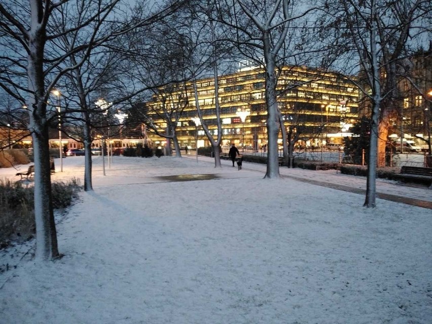 Śnieżyca we Wrocławiu. Nagła zmiana pogody i fatalna sytuacja na drogach Dolnego Śląska [ZDJĘCIA]