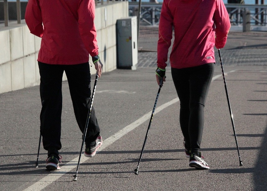 Prawidłowy trening nordic walking angażuje ok. 90% mięśni....