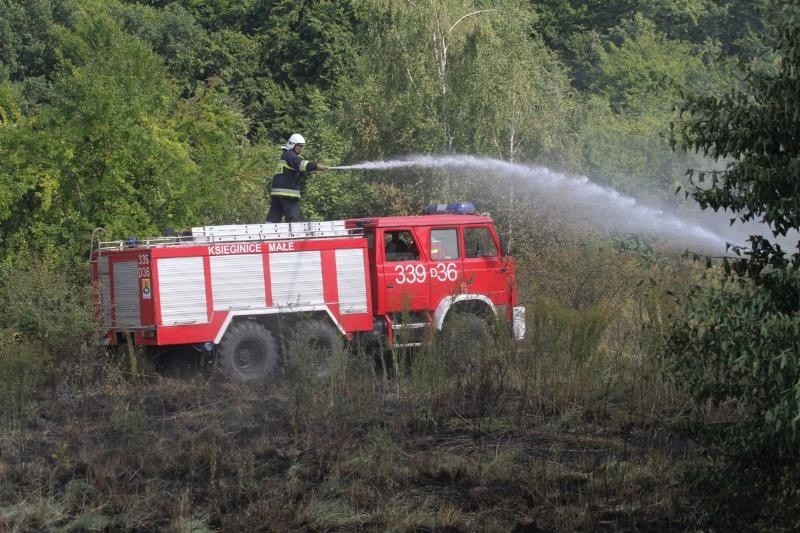 Sobótka: Pożar góry Ślęża. Spłonął hektar łąk i drzew (FILM, ZDJĘCIA)