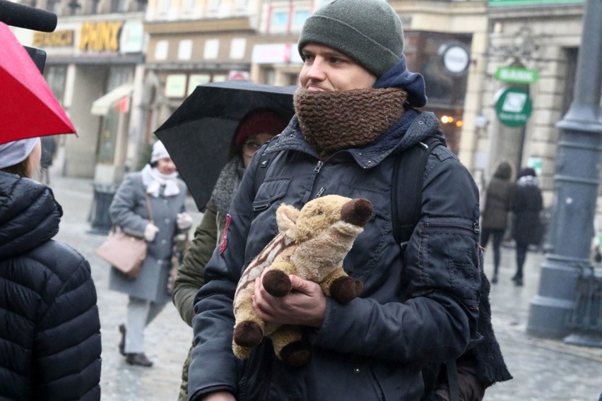 "Sto lat, niech ryją, ryją nam!" We Wrocławiu odbył się protest w obronie dzików (FILM, ZDJĘCIA)