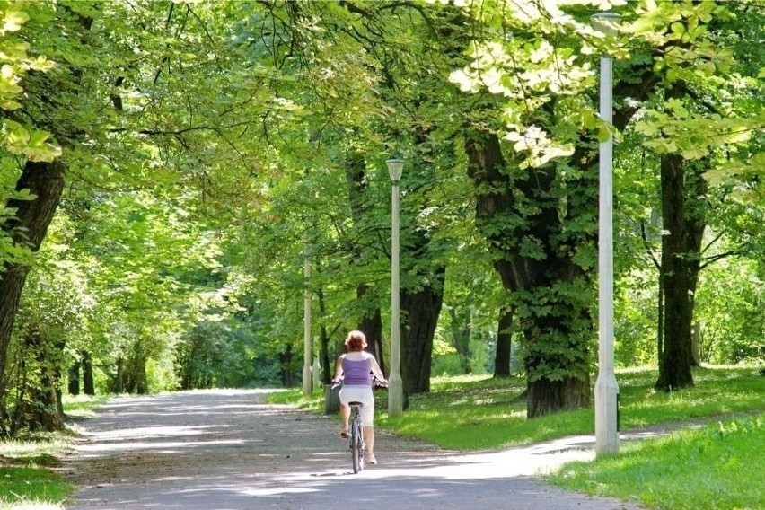 Park Lotników:...