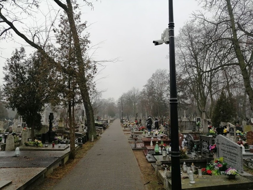 Bat na hieny cmentarne! Monitoring na cmentarzu komunalnym we Włocławku już działa