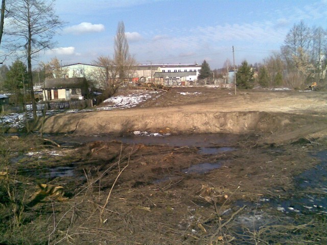 Przy zbiorniku wodnym znajdującym się na przedmieściach Pionek nielegalnie wycięto kilka drzew.