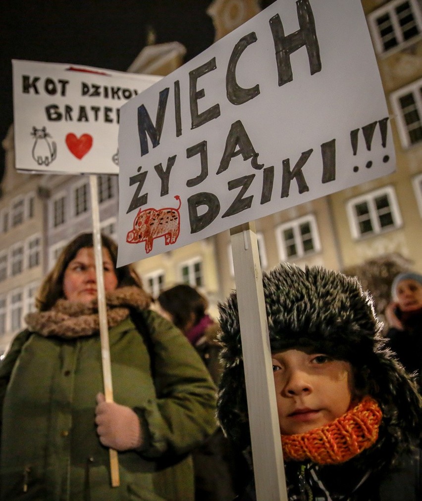 Gdański protest przeciwko masowemu odstrzałowi dzików,...