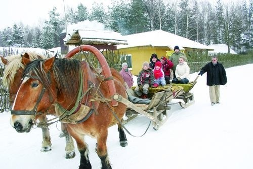 Sylwestrowe atrakcje: kulig zapewni nam prawie każde gospodarstwo agroturystyczne