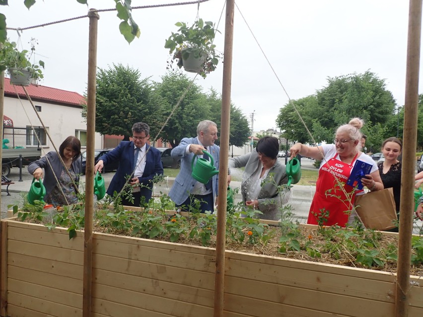 Skrzynie z warzywami i ziołami stanęły w ramach projektu „Rodzinne ogrody”