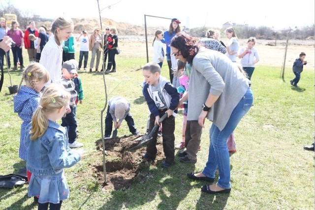 Rok temu drzewka sadziły dzieci z Klubu Malucha na Ustroniu.